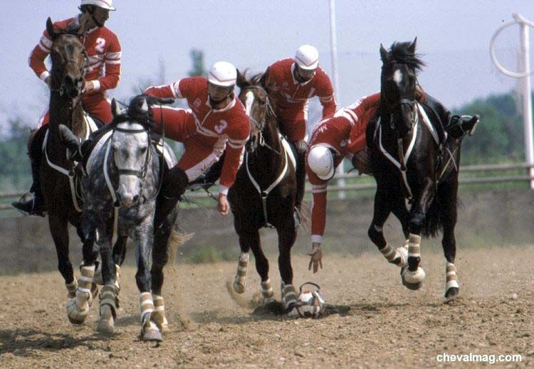 Le horse ball